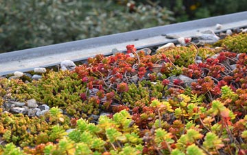 the cost of Baile Nan Cailleach green roof installation