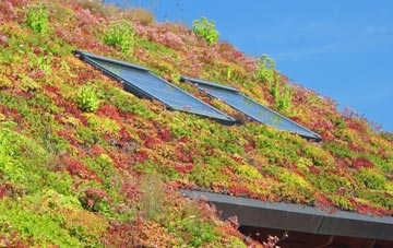 Baile Nan Cailleach living roof systems